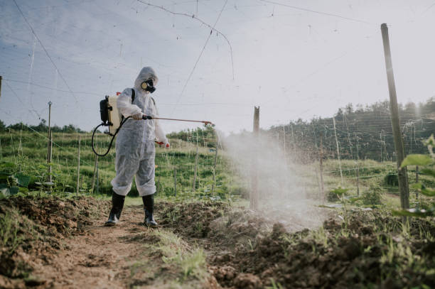 Best Local Pest Control Services  in Arroyo Seco, NM