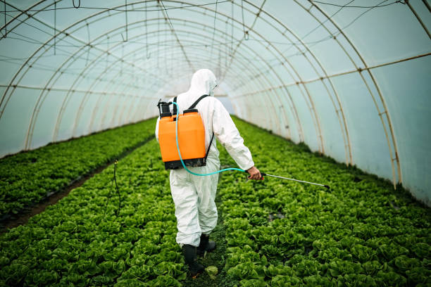 Best Affordable Pest Control Services  in Arroyo Seco, NM