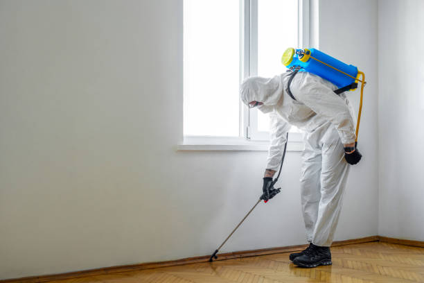 Best Exterminator Services  in Arroyo Seco, NM