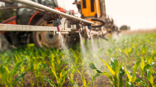 Best Pest Removal Services  in Arroyo Seco, NM